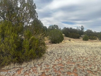 Lot 382nw Gable Ave, Seligman, AZ 86337