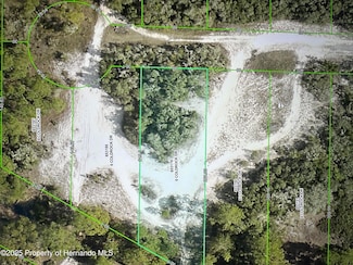 0 Coldrock Dr Unit 2250875, Webster, FL 33597