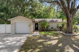 13923 Pathfinder Dr, Tampa, FL 33625