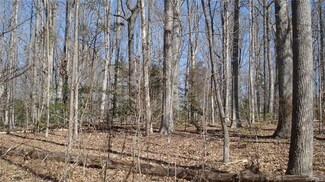 0 River Rd W Unit 2001012, Goochland, VA 23063