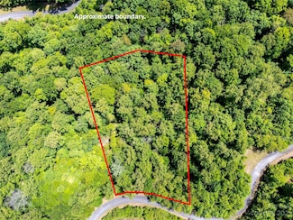 LOT 2147 Twin Falls Ln, Mill Spring, NC 28756