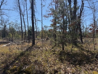 VL Prarie Rd, Yates Township, MI 49642
