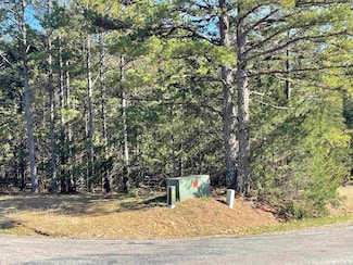 Lot 4 the Greens Dr, Fairfield Bay, AR 72088