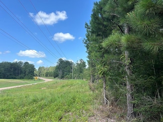 TBD Mississippi 570, Summit, MS 39666