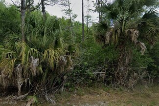 3316 36th St W, Lehigh Acres, FL 33971