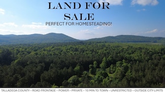 311 Chandler Springs Rd, Talladega, AL 35160