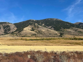 LOT 28 Eagle View Dr, Inkom, ID 83245