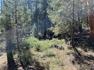 0 Coutolenc Rd Unit PA24201943, Magalia, CA 95954