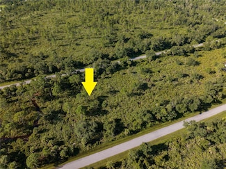 13211 Chiminiello Dr, Port Charlotte, FL 33953