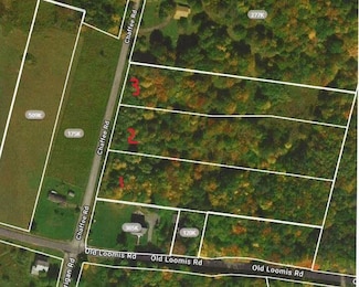 1 Chaffee Rd, Liberty, NY 12754