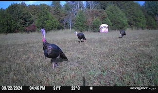 0 Bunker Rd, Crocker, MO 65452