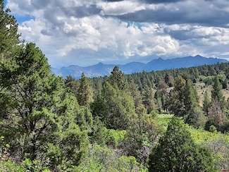 TBD Wisteria Dr, Montrose, CO 81432