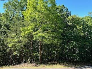 3285 Wood Poppy Dr, Jasper, GA 30148