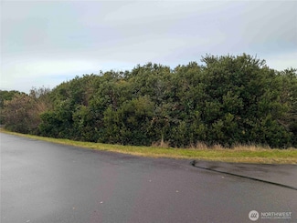 446 Salina Cruz Ave SW, Ocean Shores, WA 98569