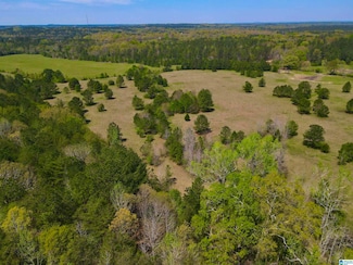 0 Highway 145 Unit 1 21387042, Shelby, AL 35143