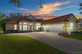 1164 W Beagle Run Loop, Hernando, FL 34442