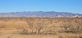 TBD 40 Acres Tyree Rd Unit 118, Pearce, AZ 85625