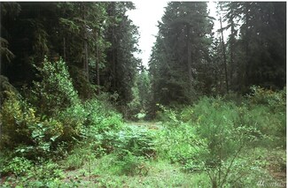 0 Orchard Ave SE Unit 948694, Olalla, WA 98359
