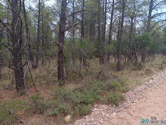 Lot 7 Homewood Dr, Timberon, NM 88350