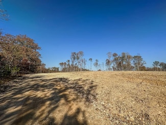 0 Firetower Rd Unit 3, Centerville, TN 37033