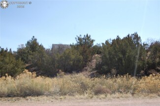 206 Greenhorn Dr, Canon City, CO 81212