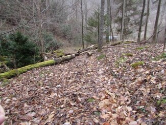 4300 Pigeon Roost Rd, Bakersville, NC 28705