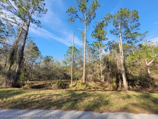 8610 Granada Blvd, Sebring, FL 33872