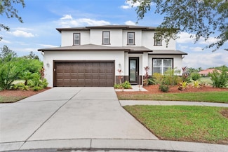 5424 Hammock View Ln, Apollo Beach, FL 33572