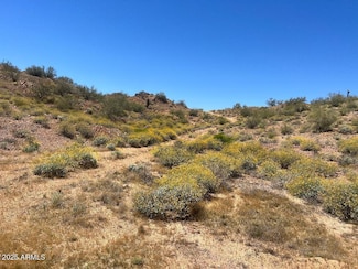 0 W Butte Creek C1 Blvd Unit 1C 6885491, Queen Creek, AZ 85144