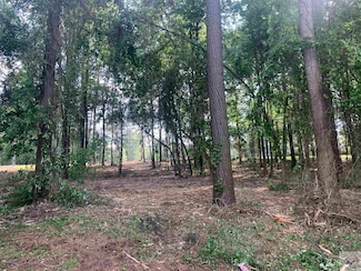 2 Elmwood Ln, Texarkana, TX 75501