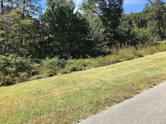 0 Lot 384 Thief Neck View Dr Unit 1060963, Rockwood, TN 37854