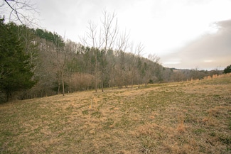 TBD Lot 8 Boyd Rd, Draper, VA 24324