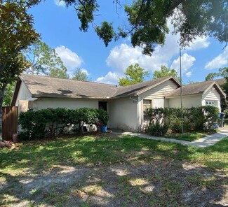 13603 Red Birch Place, Tampa, FL 33625
