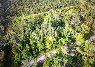 000 NE Rue Dr, Pinetta (Madison County), FL 32350