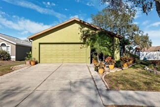 11508 Smokethorn Dr, Riverview, FL 33579