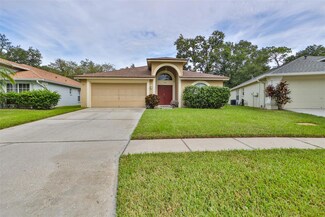 4412 Preston Woods Dr, Valrico, FL 33596