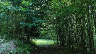 1272 Pine Hill Rd, Masonville, NY 13804