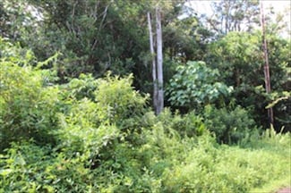 0 Ocean View Pkwy Unit 705845, Pahoa, HI 96778