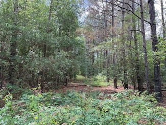 0 Prairie Rd, F, LA 71202