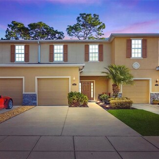 13917 River Willow Place, Tampa, FL 33637