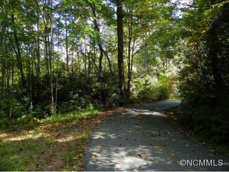Lot 2316 Heidi Way Unit SR1316, Horse Shoe, NC 28742