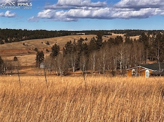 216 Will Scarlet Dr, Divide, CO 80814