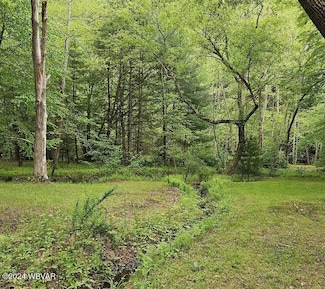 2938 Little Pine Creek Rd, Waterville, PA 17776