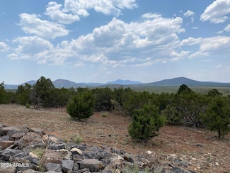 2229 Bella Vista Loop Unit 29, Williams, AZ 86046