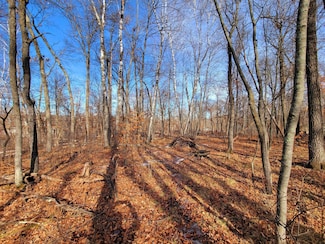 TBD Hillside Pass, Breezy Point, MN 56472