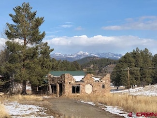 276 S 10th St, Pagosa Springs, CO 81147