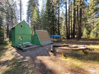 2-D-19 Widow Springs Dr Unit 2, McCloud, CA 96057