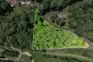 Lot 1 Lakeridge Dr, Butler, TN 37640