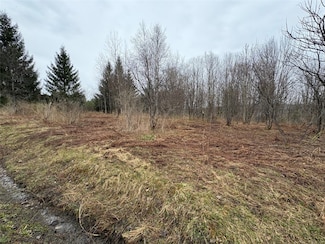 0 Pritchard Rd, West Winfield, NY 13491