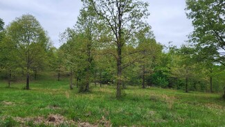 14339 Zafra Rd, Smithville, OK 74957